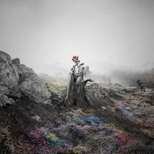 杨颖性交黄色换脸视频
